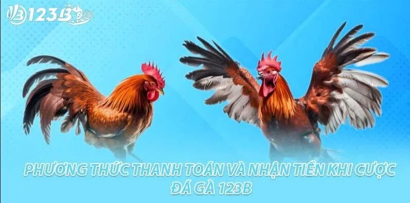 Đá Gà 123B