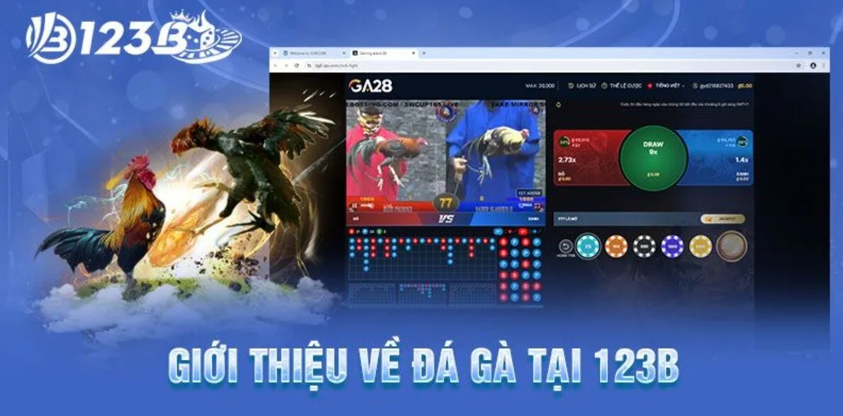 Tìm hiểu về đá gà 123B